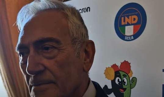 开云体育APP下载-意大利足协主席：若不简化建球场流程，或会失去欧洲杯主办权